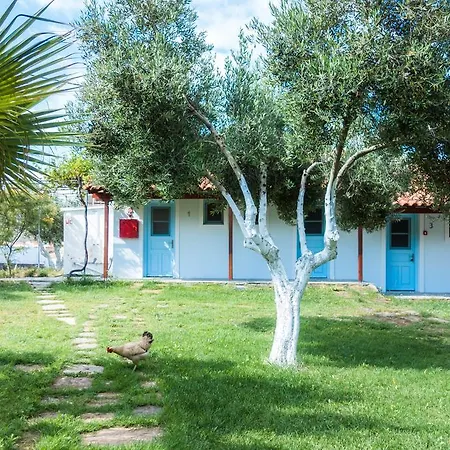 Gregory'S Village Plati Exterior photo